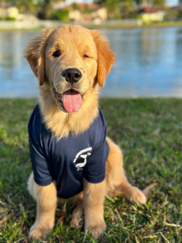 Roof Contractor Broward County