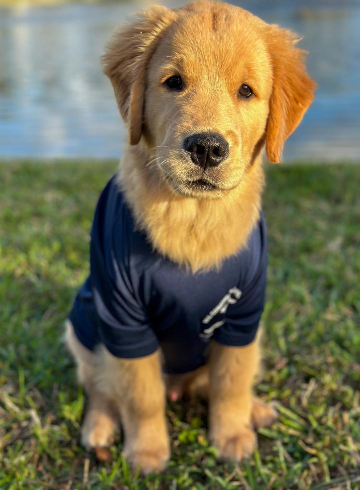 Residential Renovation Broward County