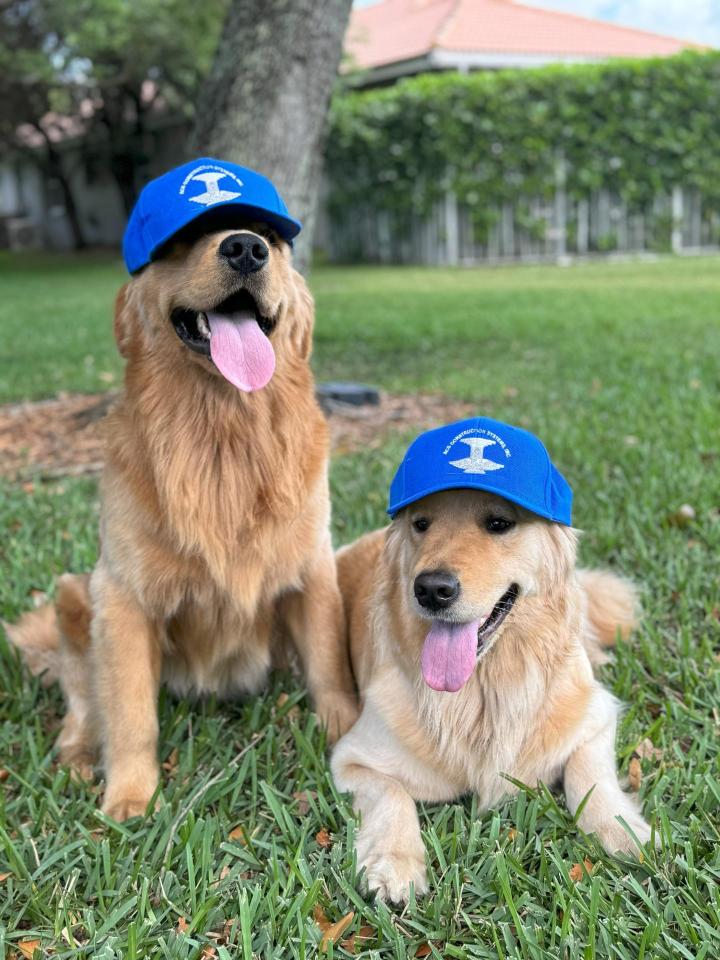 General Contractor Broward County